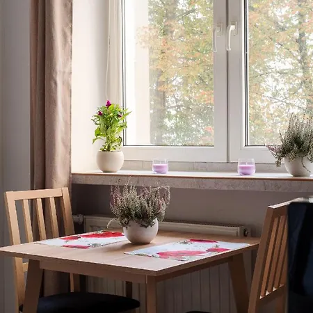 Cozy City Center Studio * Varsó