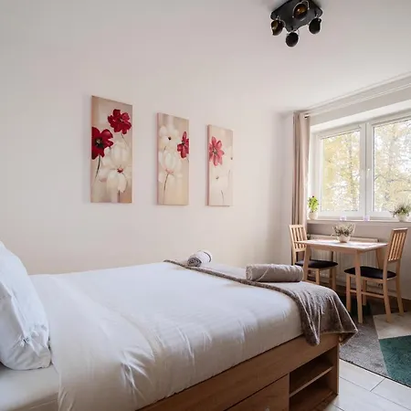 Cozy City Center Studio Warsaw